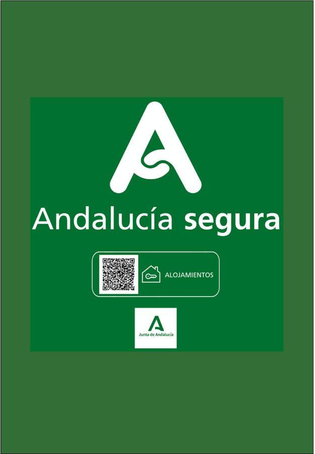 Holidays2granada Centro Con Terraza-solarium *